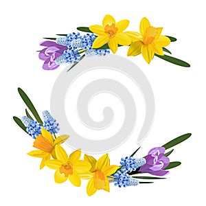 Floral design. Spring yellow daffodils or narcissus wreath bow. Vector illustration.